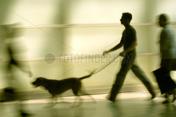 Silhouetten von Menschen und Hund an der Leine
