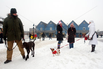 Spaziergaenger mit Hunden im Schnee