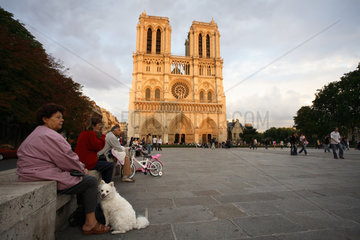 Kathedrale Notre-Dame und Touristen in Paris