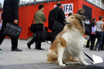 Wartender Hund und Besucher der IFA 2006 in Berlin