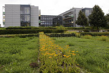 Max-Planck-Institut fuer Molekulare Pflanzenphysiologie