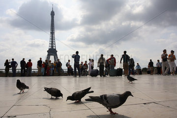 Eiffelturm und Silhouetten von Touristen und Tauben in Paris