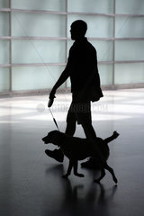 Silhouetten eines Mannes mit Hund an der Leine