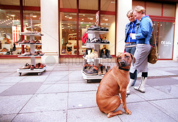 Kundinnen mit Hund vor einem Schuhgeschaeft in Leipzig