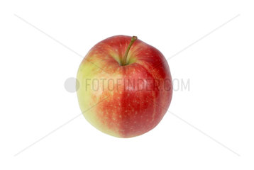 Ein Apfel  Sorte Jonagold