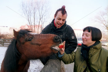 Junge Frau fuettert Pony mit Apfel in Berlin-Kreuzberg