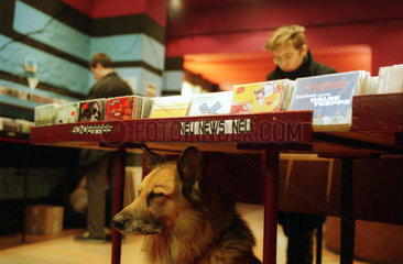 Schaeferhund in einem Platten- u. CD-Laden in Berlin- Kreuzberg