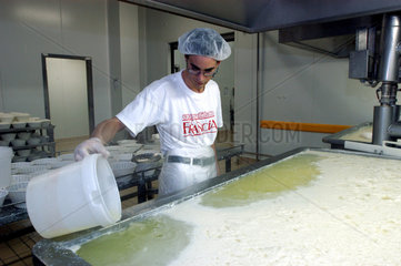 Berlin  Mozzarellaproduktion bei der Francia Mozzarella GmbH