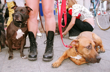 Hunde und nackte Beine der Besitzerin auf der Fiffi-Parade