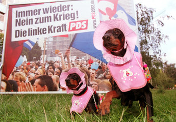 Kostuemierte Hunde auf der Fiffi-Parade in Berlin