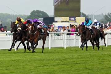 Royal Ascot  Leading Light with Joseph O'Brien up wins the Gold Cup