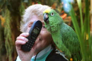 Papagei spricht in ein Mobilfunktelefon