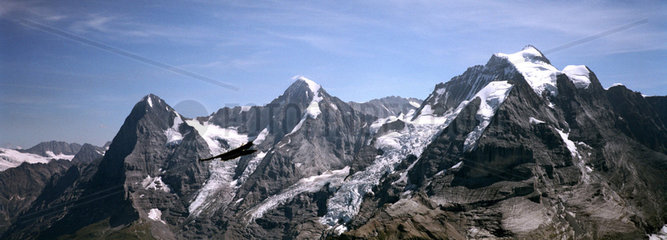 Bergpanorama:Eiger  Moench u. Jungfrau in der Schweiz