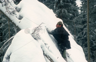 Holzfaeller in den Alpen bei Ruhpolding