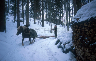 Holzfaeller in den Alpen bei Ruhpolding