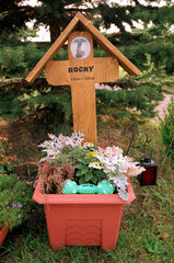 Tierfriedhof: Grab fuer einen Hund