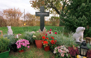 Tierfriedhof: Anonyme Grabstelle fuer Tiere