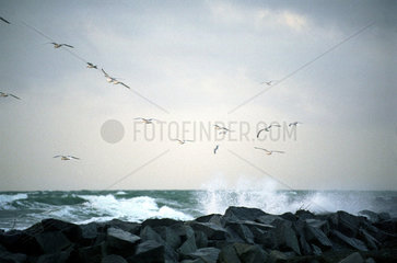 Wellen brechen an einer Steinmauer an der Ostsee