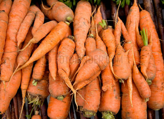 Riedlingen  Karotten auf einem Bauernmarkt