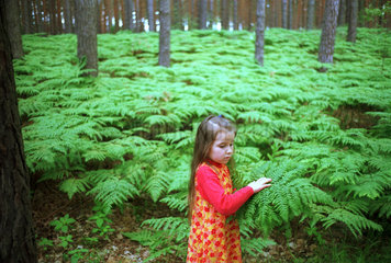 Glashuette  Maedchen pflueckt im Wald Farne