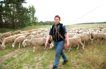 Stangenhagen  Schaeferin mit Herde