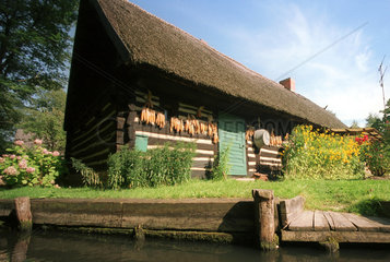 Luebbenau  Haus und Maiskolben im Spreewald