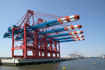 Hamburg  Containerbruecken im Eurogate Container Terminal
