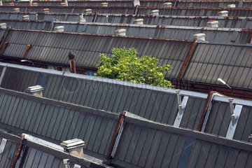 Berlin  Dachkonstruktion einer Industriehalle