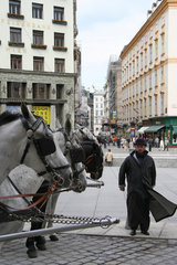 Wien  Kutscher bei seinen Pferden
