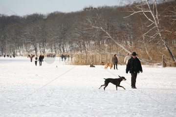 Berlin  Deutschland  Spaziergaenger mit Hunden auf dem zugefrorenen Schlachtensee