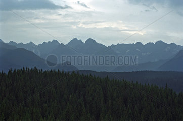 Berglandschaft in der Tatra  Polen