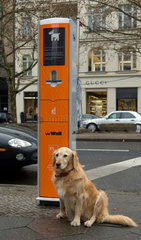Berlin  Hund neben einer Dog Service-Station der Wall AG