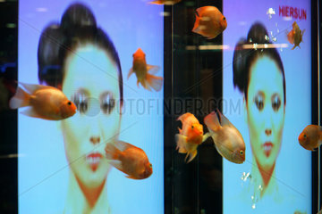 Peking  Bildschirme mit Frauenportraet davor schwimmen Fische