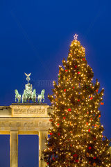 Berlin  erleuchteter Weihnachtsbaum vor Brandenburger Tor