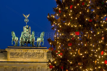Berlin  erleuchteter Weihnachtsbaum vor Brandenburger Tor