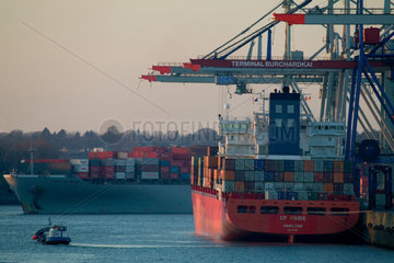 Containerschiffe im Burchardkai im Hamburger Hafen