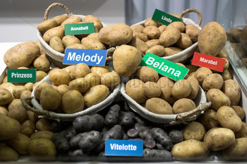 Berlin  diverse Kartoffelsorten