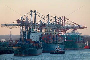 Containerschiffe im Burchardkai im Hamburger Hafen