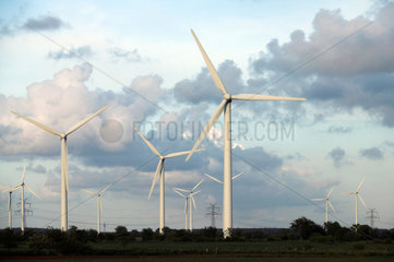 Schleswig-Holstein  Windkraftanlagen in einem Windpark