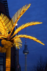 Berlin  leuchtende Palme und Fernsehturm