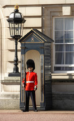 London - Ein Wachsoldat am Buckingham Palace