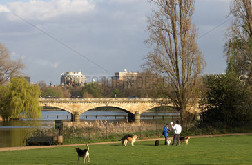 London - Im Hyde Park an einem Fruehlingsnachmittag