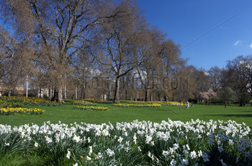 London - St. James's Park im Fruehling