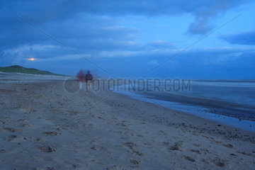 Daenemark  Paar laeuft bei Daemmerung am Strand
