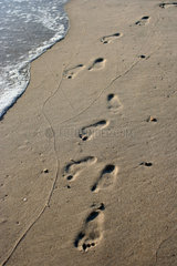 Daenemark  Fussspuren im Sand