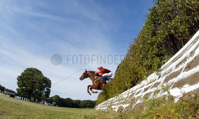 Hoppegarten  ein Rennpferd mit Jockey springt ueber die Huerde
