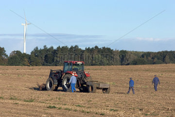 Mecklenburg  Bauern mit Traktor bei der Feldarbeit