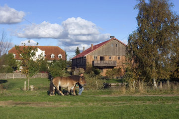 Ein Bauernhof in Mecklenburg-Vorpommern