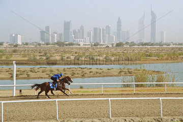Englische Vollblueter beim Training vor der Skyline von Dubai