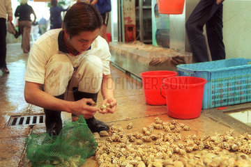 Ein Mann beim Sortieren von Muscheln in Hong Kong
